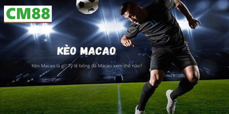Cách đọc Tỷ lệ kèo Macao